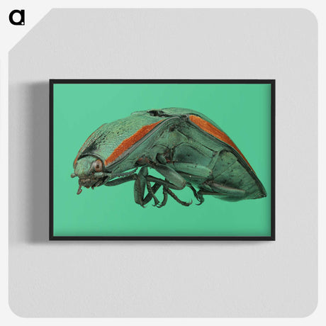 2-11_Insects-Unlocked-Project_blk-crop