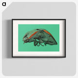 2-11_Insects-Unlocked-Project_blk