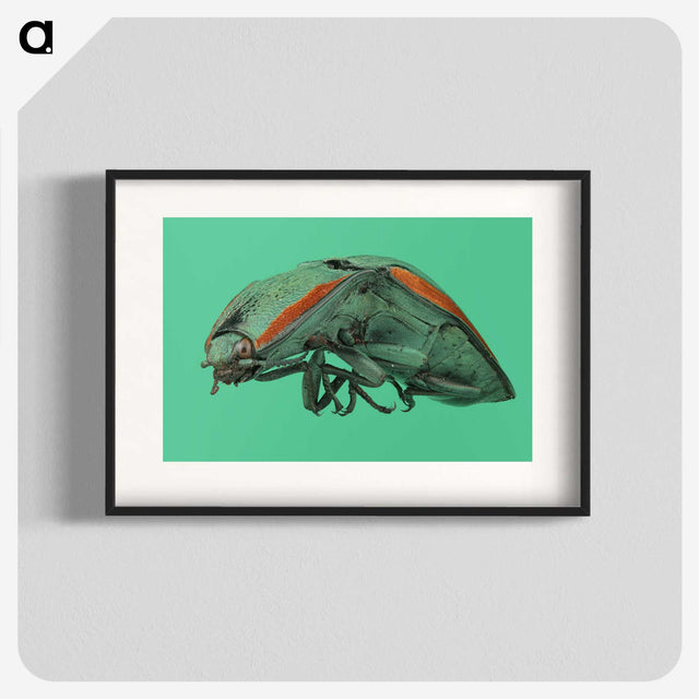 2-11_Insects-Unlocked-Project_blk