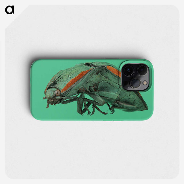 2-11_Insects-Unlocked-Project_phone