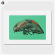 2-11_Insects-Unlocked-Project_picture