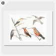 2-11_Johan-Teyler_picture