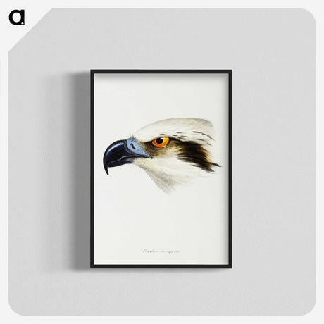 2-11_John-Gould_blk-crop