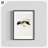 2-11_John-Gould_blk