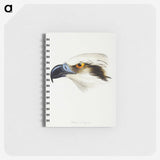 2-11_John-Gould_memo
