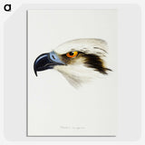2-11_John-Gould_picture-crop