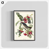 2-11_John-James-Audubon_blk-crop