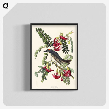 2-11_John-James-Audubon_blk-crop