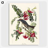 2-11_John-James-Audubon_picture-crop