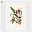 2-11_John-James-Audubon_picture