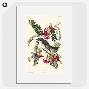2-11_John-James-Audubon_picture