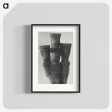 2-11_Karl-Blossfeldt_blk