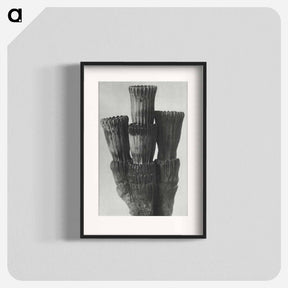 アートポスター-Equisetum Hiemale - カール ブロスフェルト Poster.