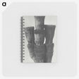 2-11_Karl-Blossfeldt_memo