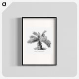 2-11_Les-Palmiers-Histoire-Iconographique_blk