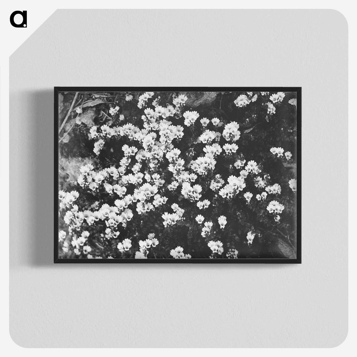 2-11_Leslie-Adkin_blk-crop