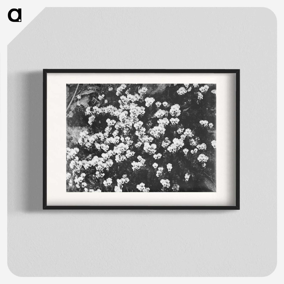 2-11_Leslie-Adkin_blk