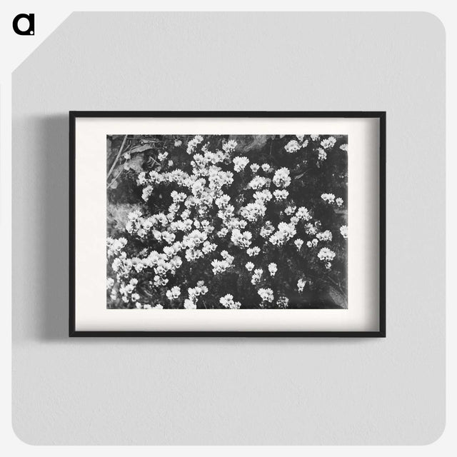 2-11_Leslie-Adkin_blk