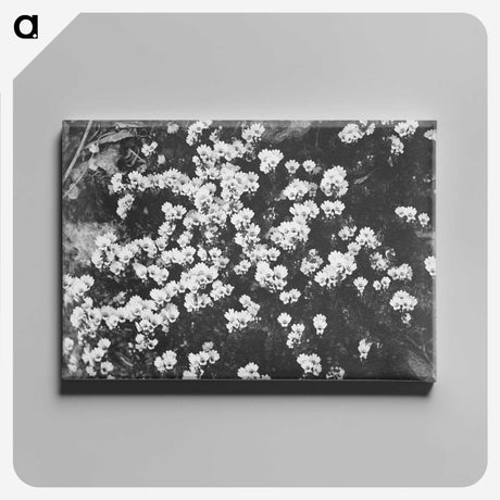 2-11_Leslie-Adkin_canvas