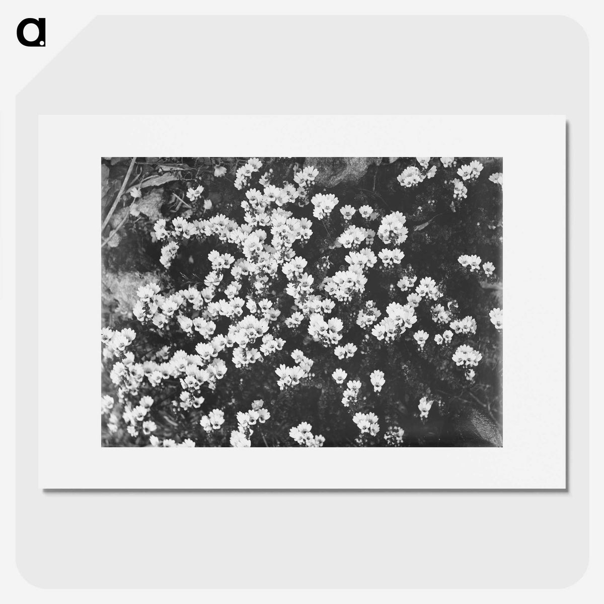 2-11_Leslie-Adkin_picture