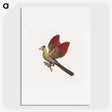 2-11_Luigi-Balugani_picture