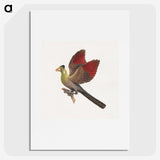 2-11_Luigi-Balugani_picture