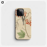 2-11_Mark-Catesby_phone