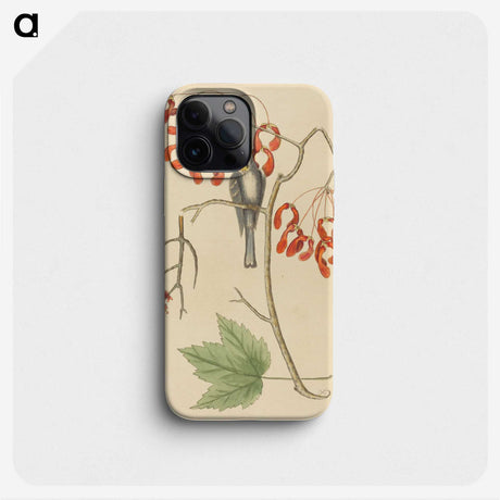 2-11_Mark-Catesby_phone