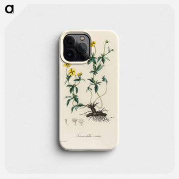 Tormentilla erecta Illustration
 - 薬用植物学 Phone Case.