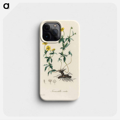Tormentilla erecta Illustration
 - 薬用植物学 Phone Case.