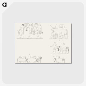2-11_Monuments-of-Egypt-and-Nubia_postcard