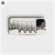 2-11_Moths-and-Butterflies-of-the-United-States_phone
