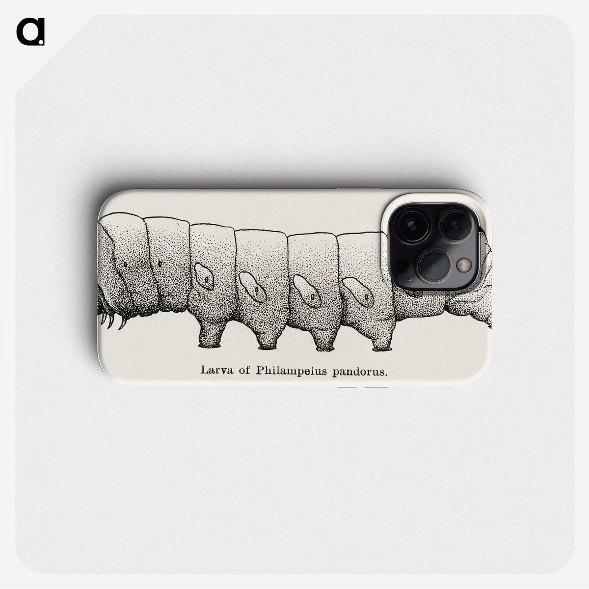 2-11_Moths-and-Butterflies-of-the-United-States_phone