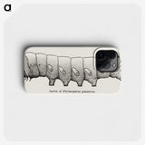 2-11_Moths-and-Butterflies-of-the-United-States_phone