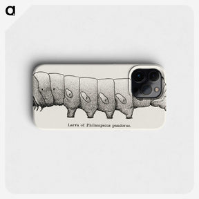2-11_Moths-and-Butterflies-of-the-United-States_phone
