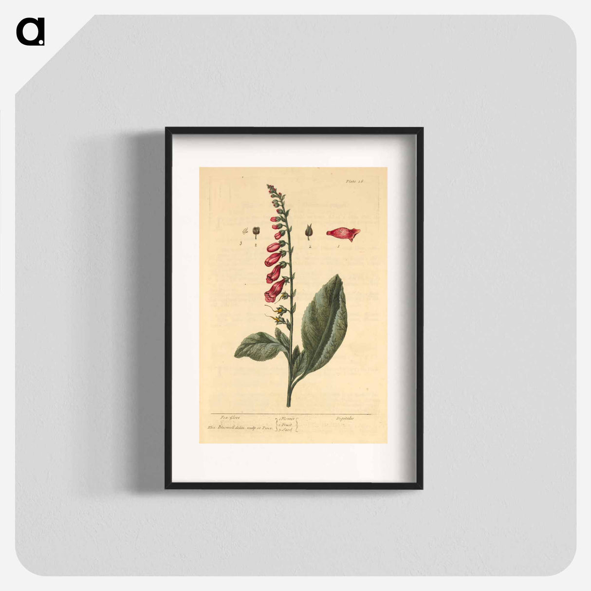 アートポスター-Digitalis
 - 国立医学図書館 Poster.