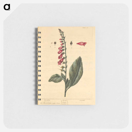 アートメモ帳-Digitalis
 - 国立医学図書館 Memo.