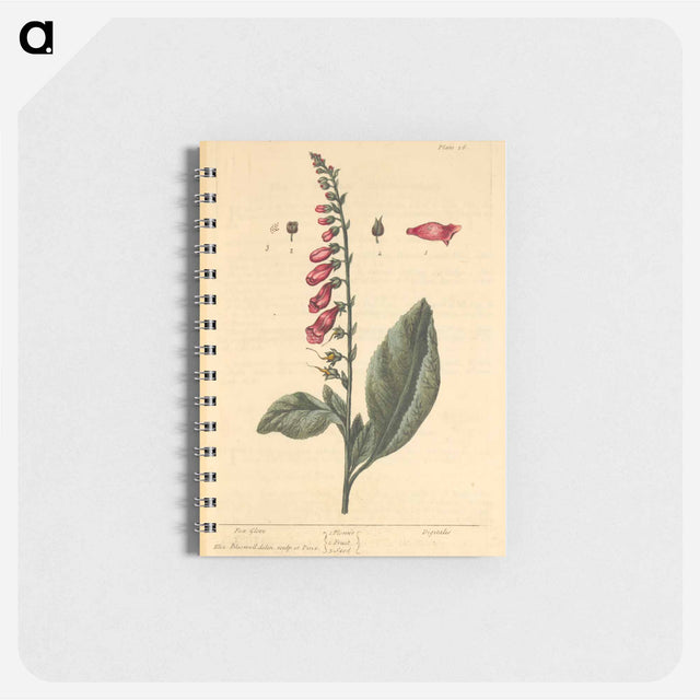 アートメモ帳-Digitalis
 - 国立医学図書館 Memo.