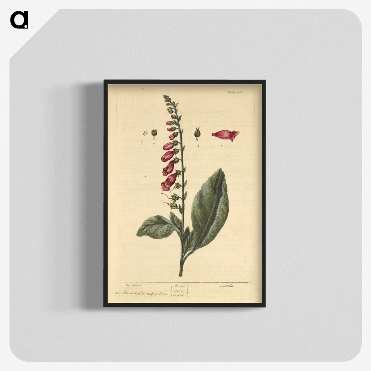 2-11_National-Library-of-Medicine_blk-crop