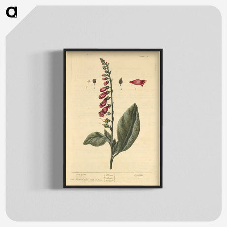 2-11_National-Library-of-Medicine_blk-crop