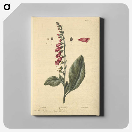 2-11_National-Library-of-Medicine_canvas