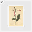 2-11_National-Library-of-Medicine_hagaki