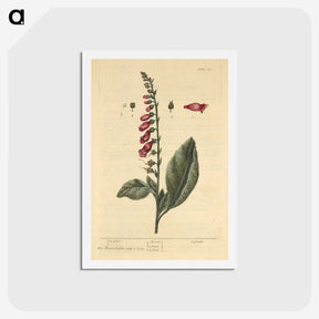 2-11_National-Library-of-Medicine_hagaki