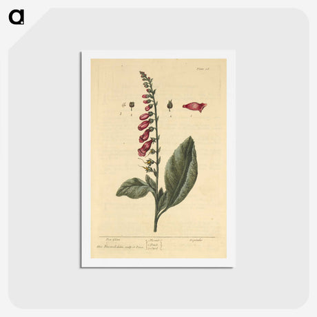 2-11_National-Library-of-Medicine_hagaki