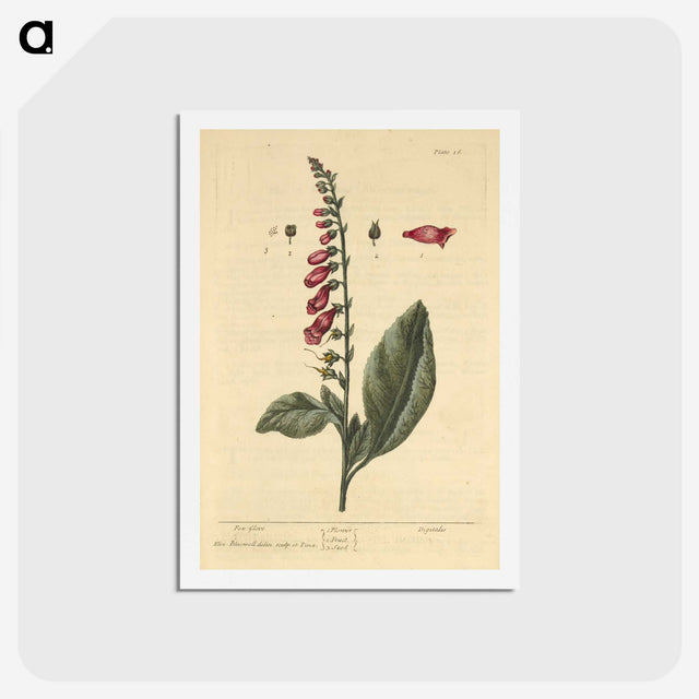 2-11_National-Library-of-Medicine_hagaki
