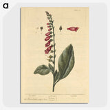 2-11_National-Library-of-Medicine_picture-crop