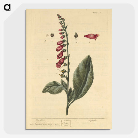 2-11_National-Library-of-Medicine_picture-crop