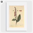 2-11_National-Library-of-Medicine_picture