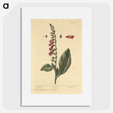 2-11_National-Library-of-Medicine_picture