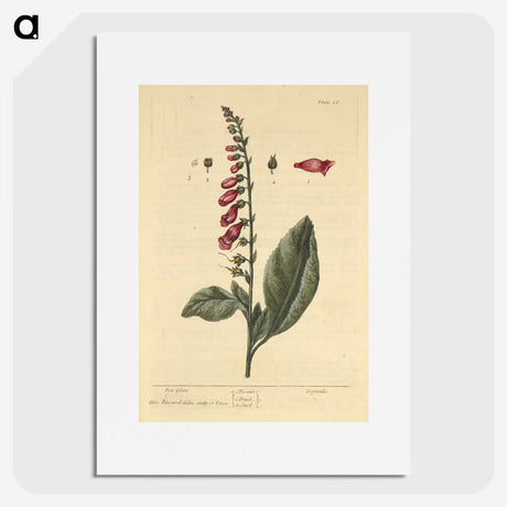 2-11_National-Library-of-Medicine_picture